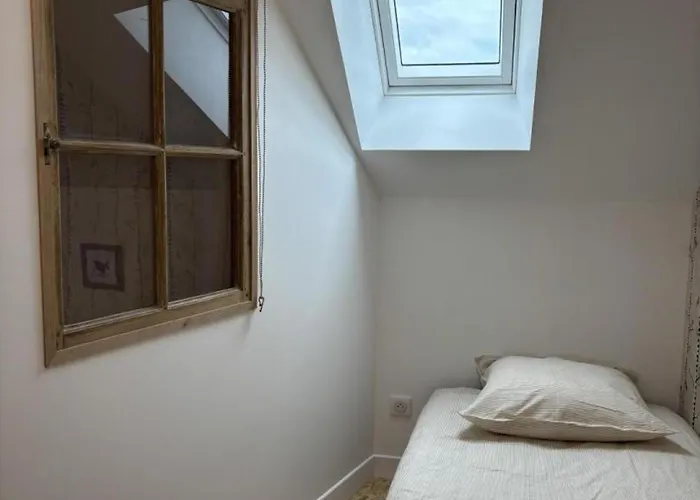 Pour 5, Nature Et Verdure, Animaux Bienvenus - Fr-1-489-574 *