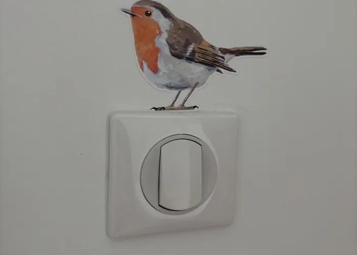 Pour 5, Nature Et Verdure, Animaux Bienvenus - Fr-1-489-574 *